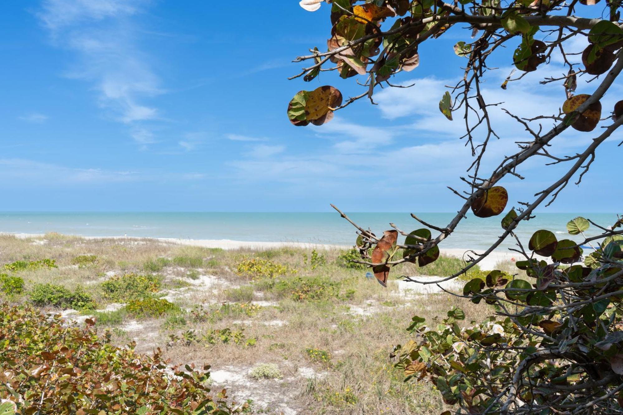 Sole Suite #1-2 Min To Beach-Patio & Courtyard Cocoa Beach Ngoại thất bức ảnh
